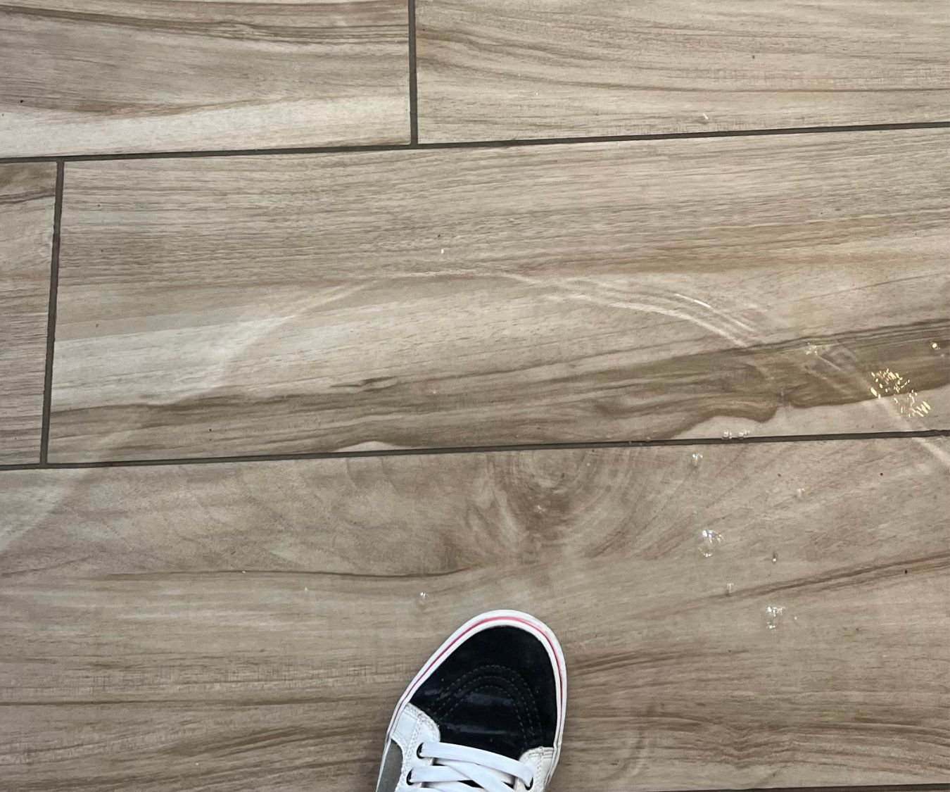 A Homeowner's Guide to Water Damage Restoration in Los Angeles