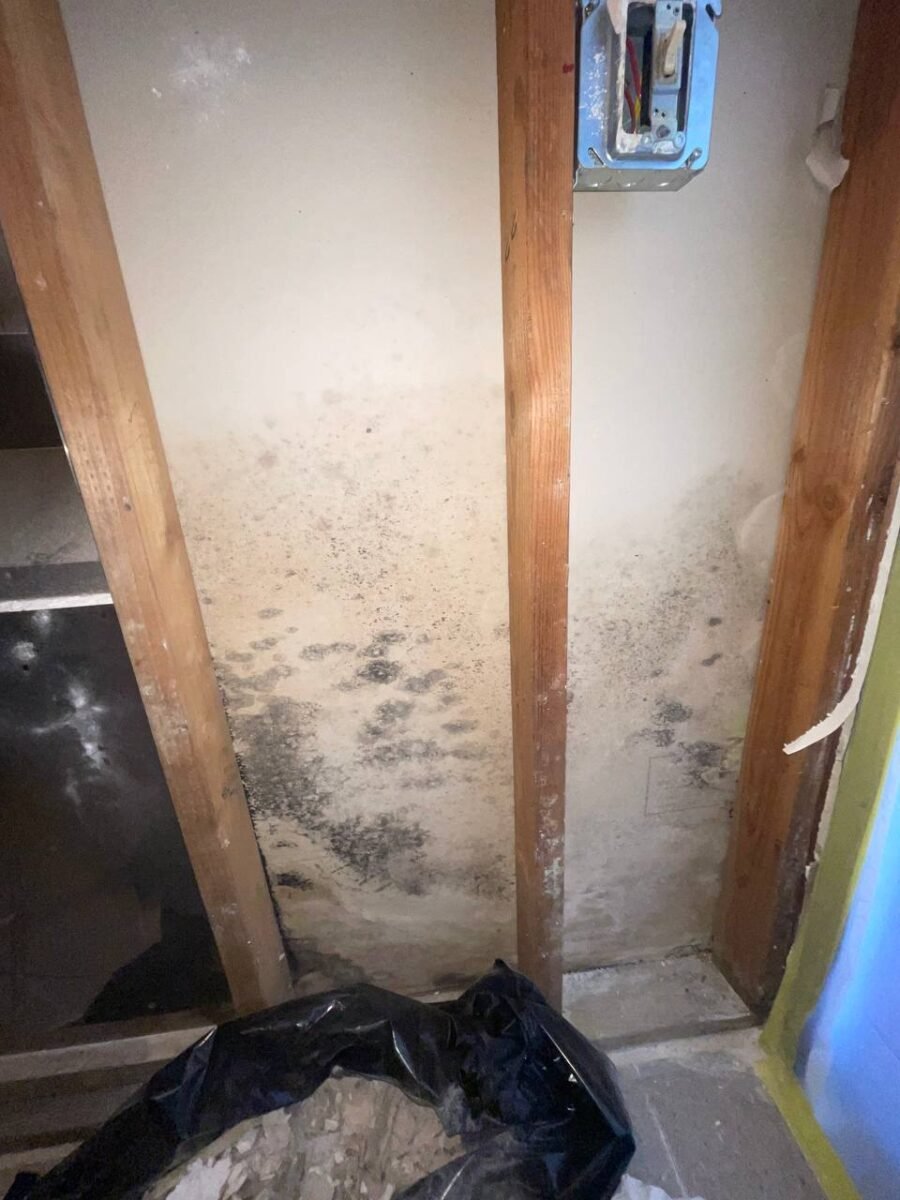 Unseen Dangers: The Hidden Mold Lurking Behind Your Walls