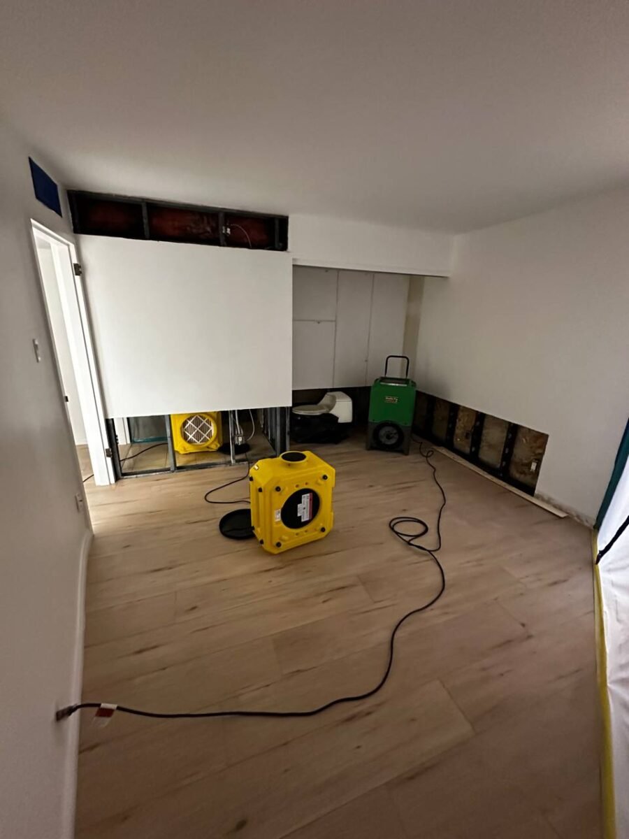 Unseen Dangers: The Hidden Mold Lurking Behind Your Walls