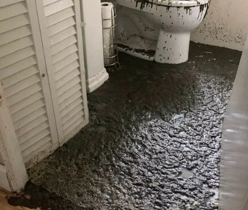 A backed-up toilet with sewage on the floor.