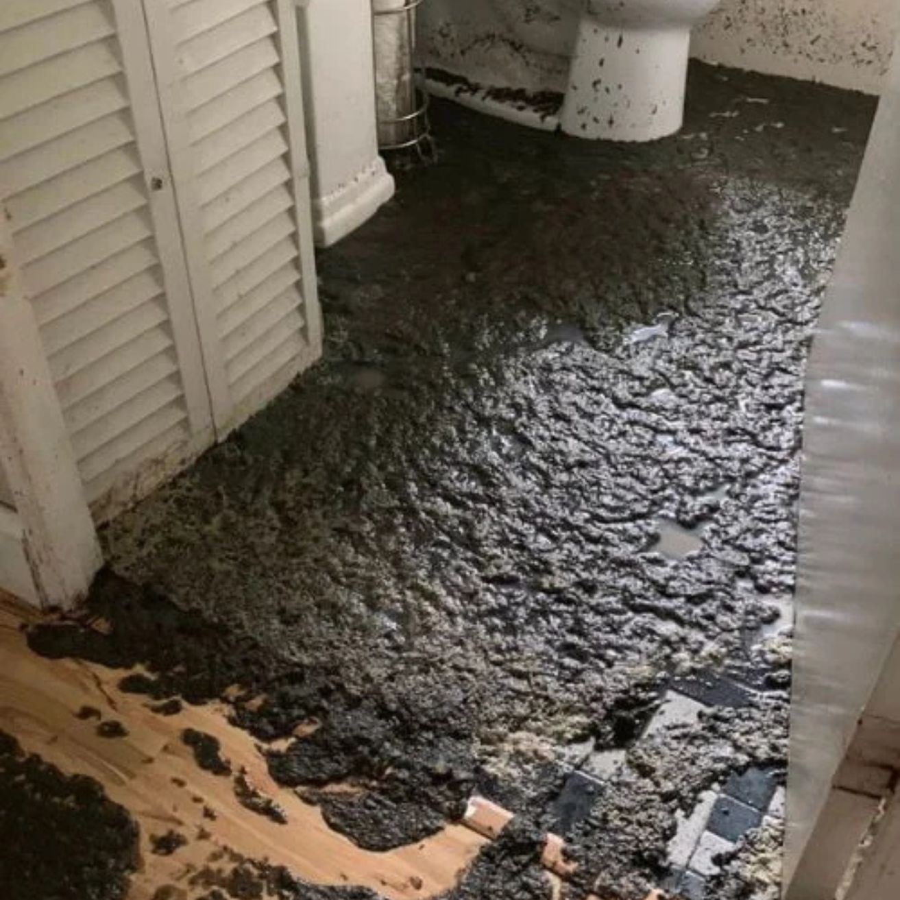 Onsite Pro Restoration | 24/7 Damage Restoration Services in Los Angeles, CA sewage bathroom floor