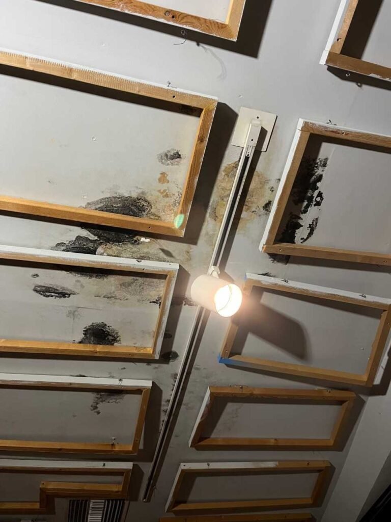 North Hollywood Damage Restoration Services | Onsite Pro 21 mold on ceiling
