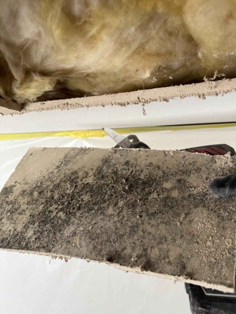 North Hollywood Damage Restoration Services | Onsite Pro 9 mold damage in ceiling found because of water damage