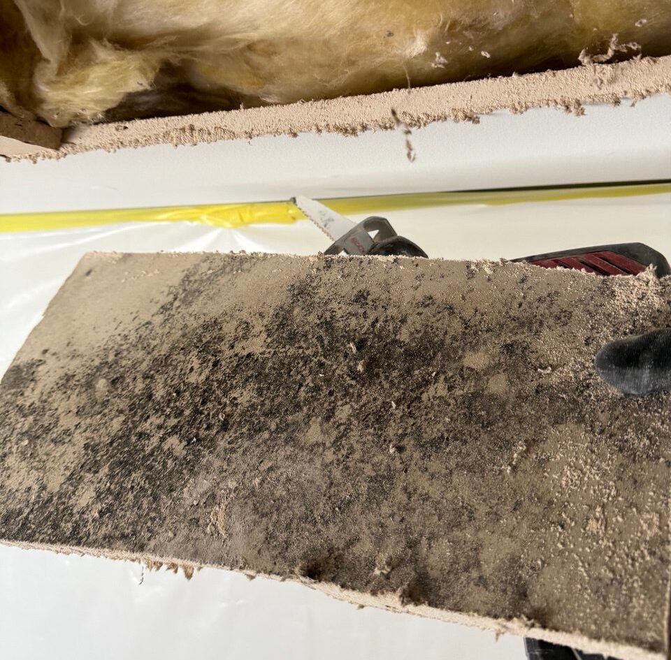 Farmers Insurance Mold, Fire, and Water Damage Coverage 1 Farmers Insurance Mold, Fire, and Water Damage Coverage