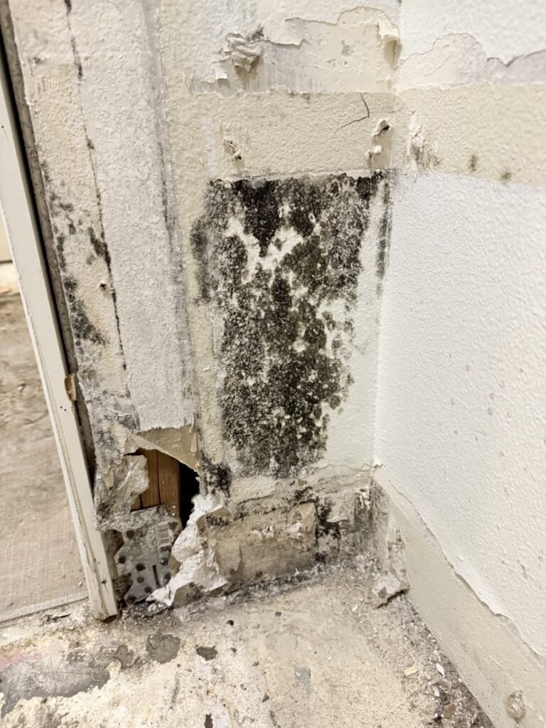 North Hollywood Damage Restoration Services | Onsite Pro 18 black mold on wall cleanup