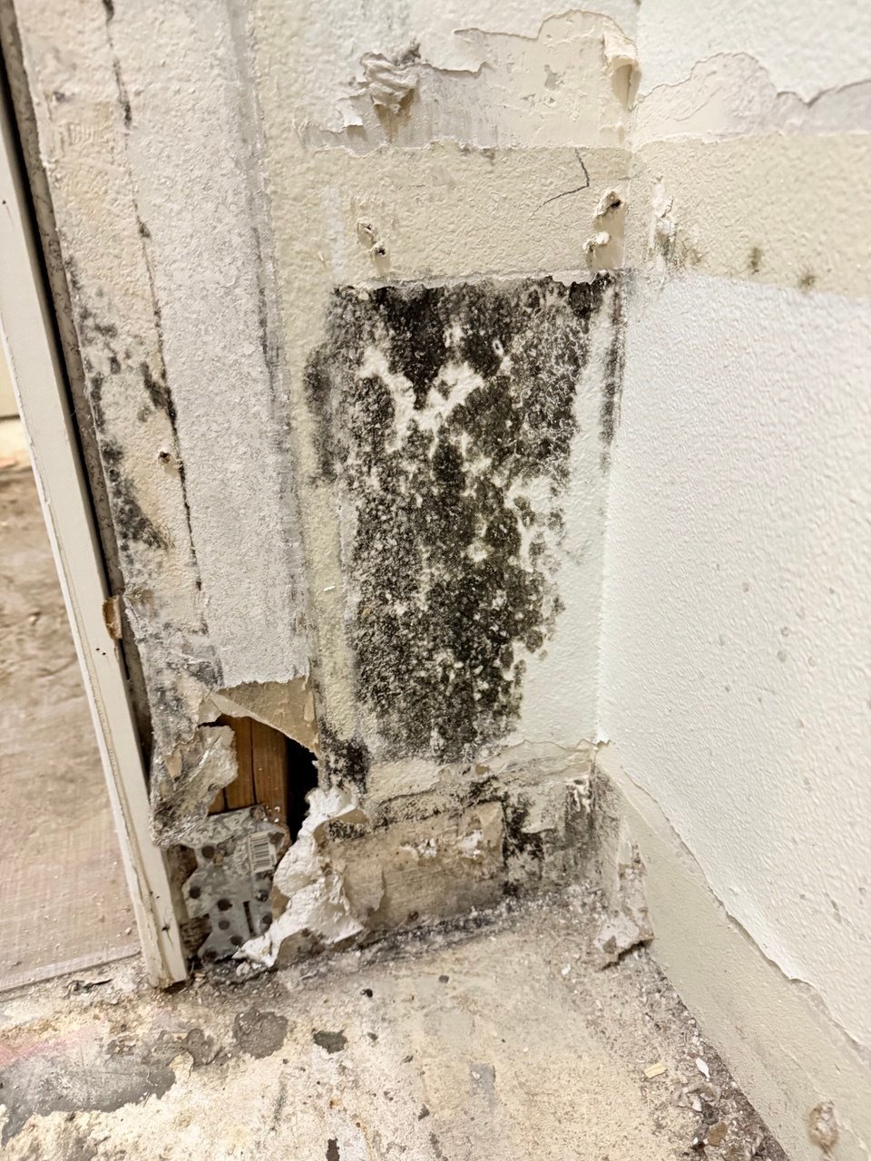 State Farm Mold, Fire, and Water Damage Coverage 3 State Farm Mold, Fire, and Water Damage Coverage