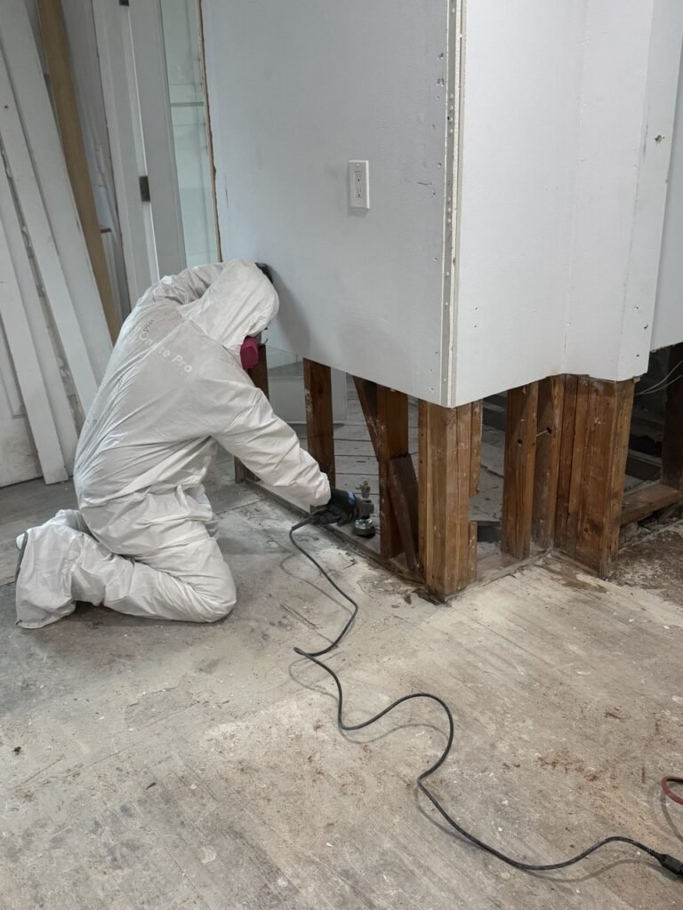 North Hollywood Damage Restoration Services | Onsite Pro 14 mold remediation onsite pro - 1