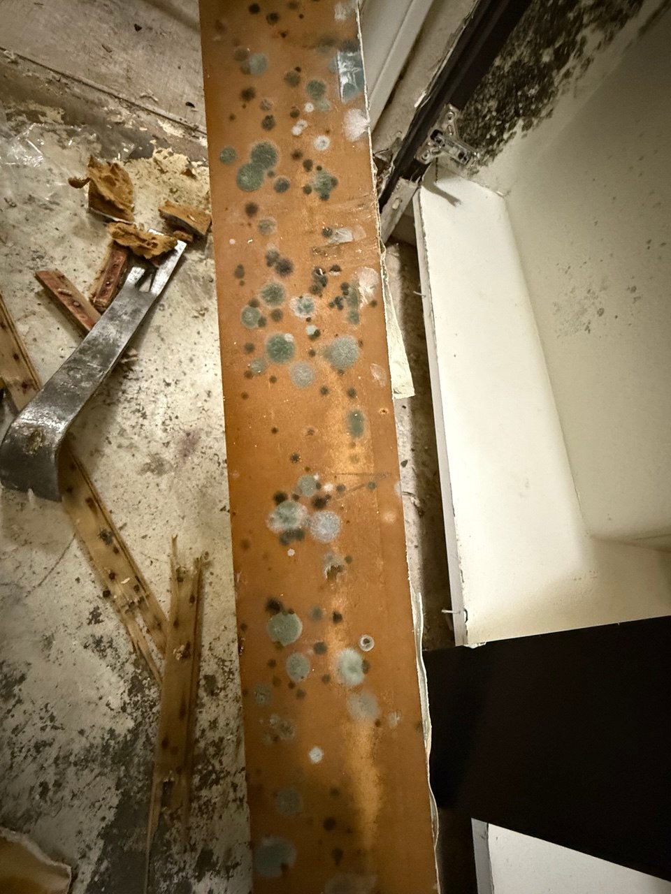 GEICO Homeowners Insurance – Water, Fire & Mold Coverage 3 GEICO Homeowners Insurance – Water, Fire & Mold Coverage