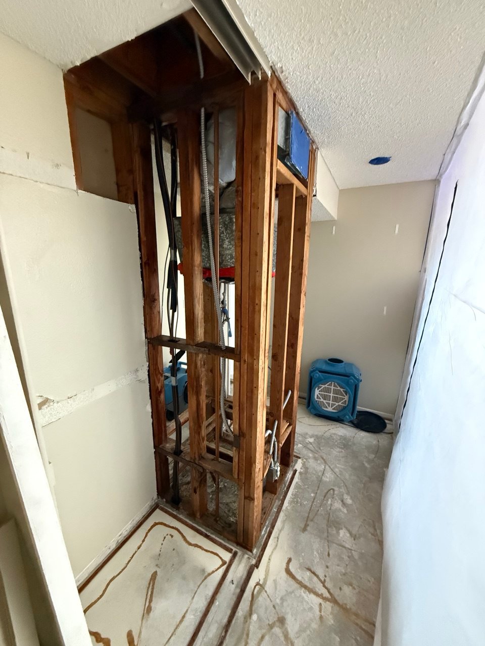 Structural Drying 101: What Every Homeowner Needs to Know