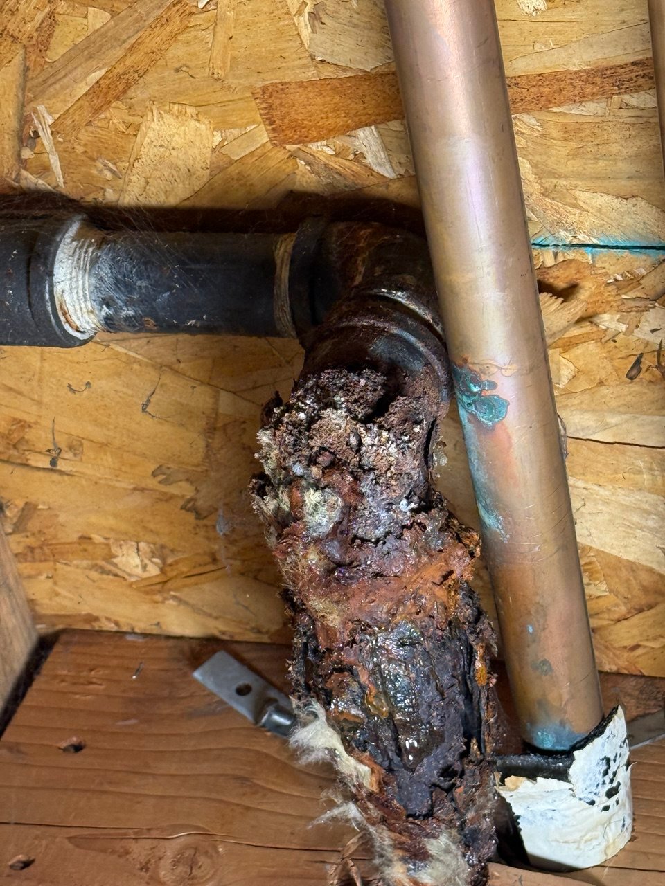 Mercury Insurance Coverage for Fire, Water, and Mold Damage 2 Mercury Insurance Coverage for Fire, Water, and Mold Damage