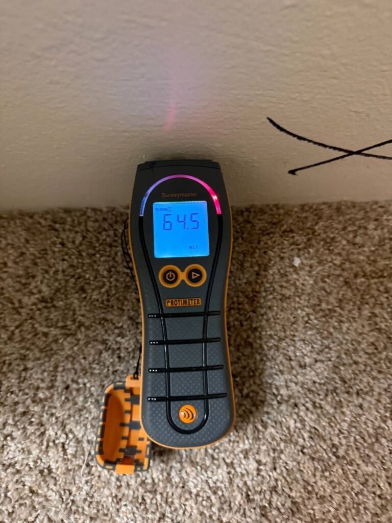 Structural Drying 101: What Every Homeowner Needs to Know