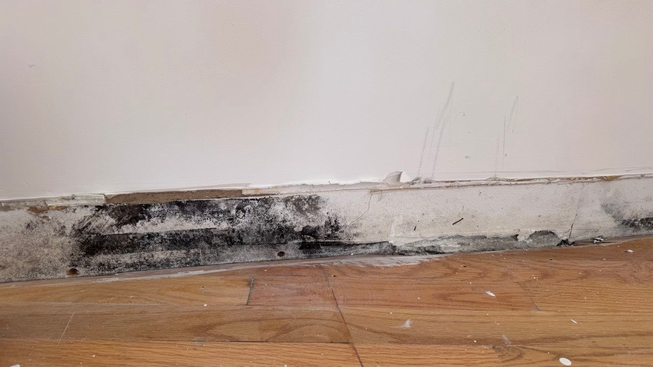 Mercury Insurance Coverage for Fire, Water, and Mold Damage 3 Mercury Insurance Coverage for Fire, Water, and Mold Damage