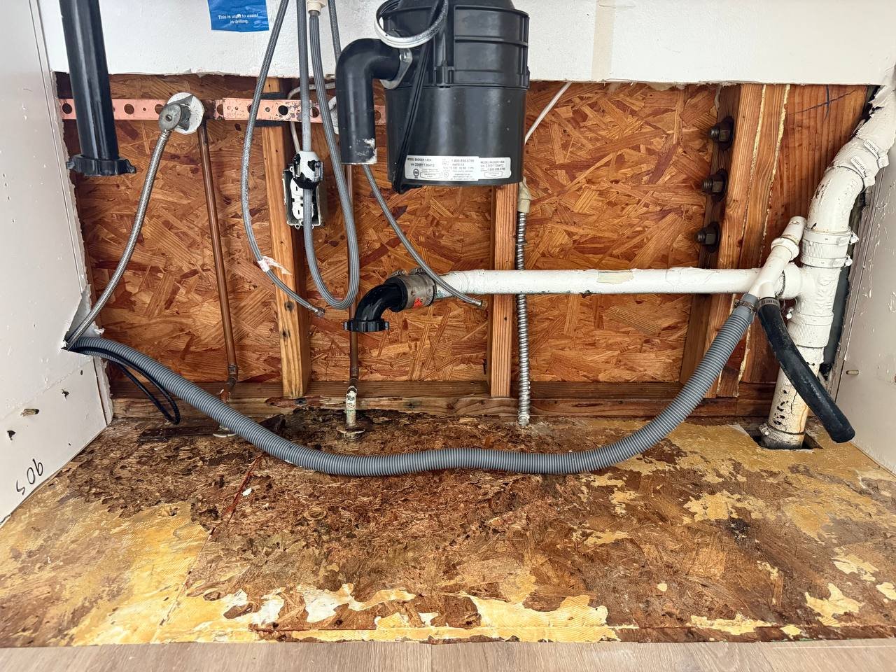 Mold Inspection & Remediation Encino | Safe Home Solutions 2 Mold Inspection & Remediation Encino | Safe Home Solutions