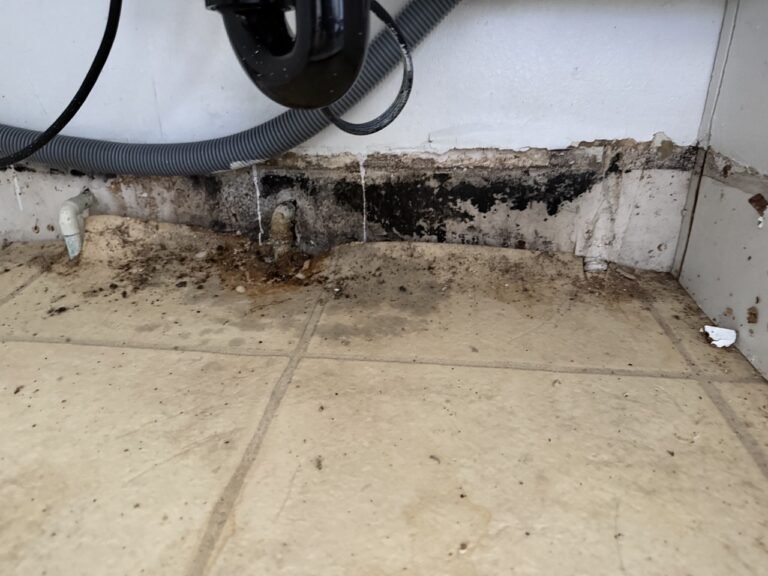 Structural Drying 101: What Every Homeowner Needs to Know 5 Structural Drying 101: What Every Homeowner Needs to Know