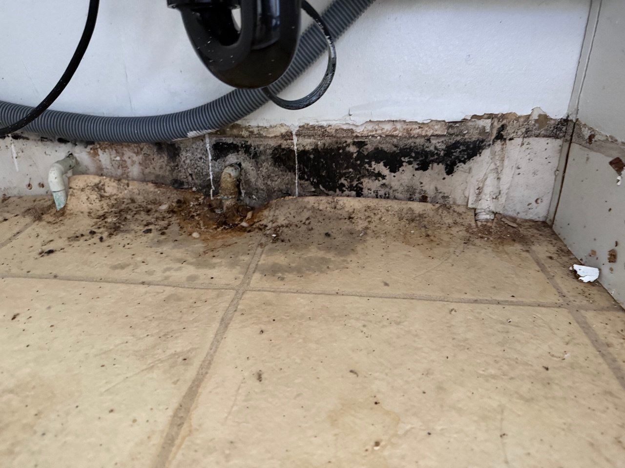 Restoration Tips & Guides | Onsite Pro Blog (Los Angeles) 11 Restoration Tips & Guides | Onsite Pro Blog (Los Angeles)