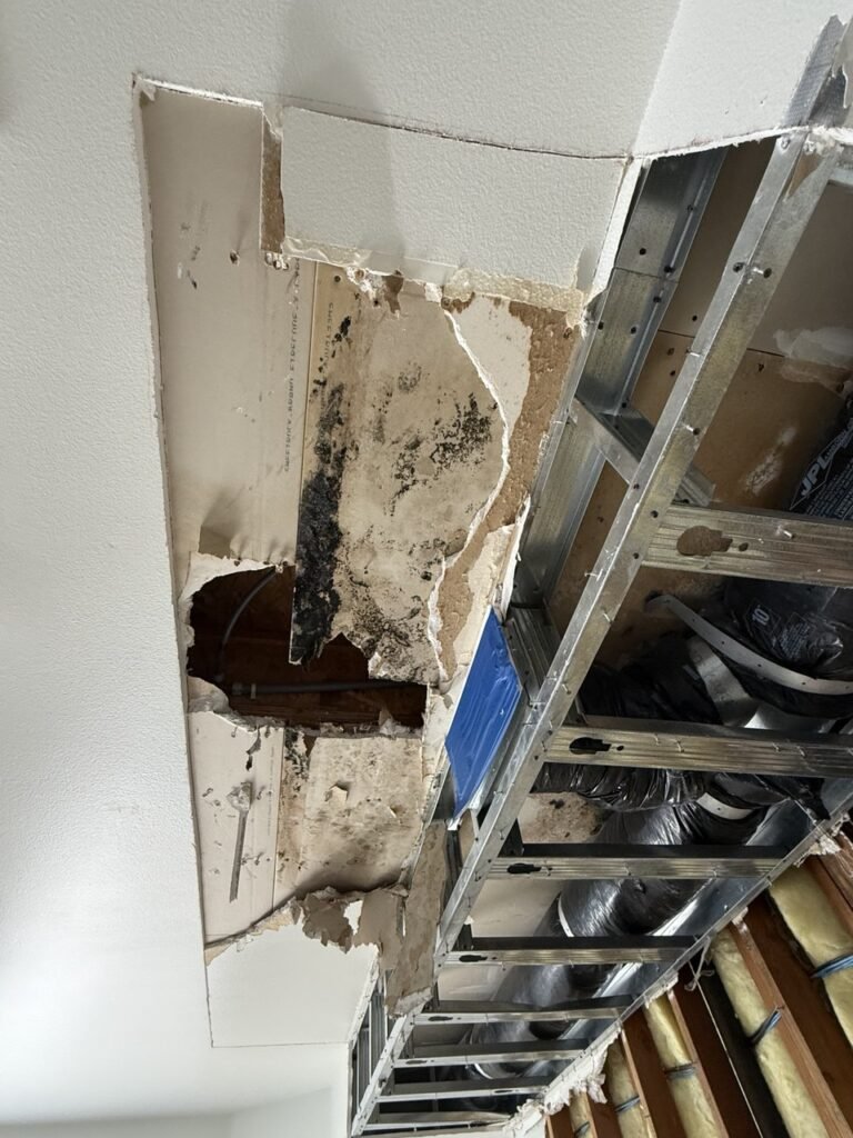 Why Mold Removal Is Important for Your Los Angeles Home
