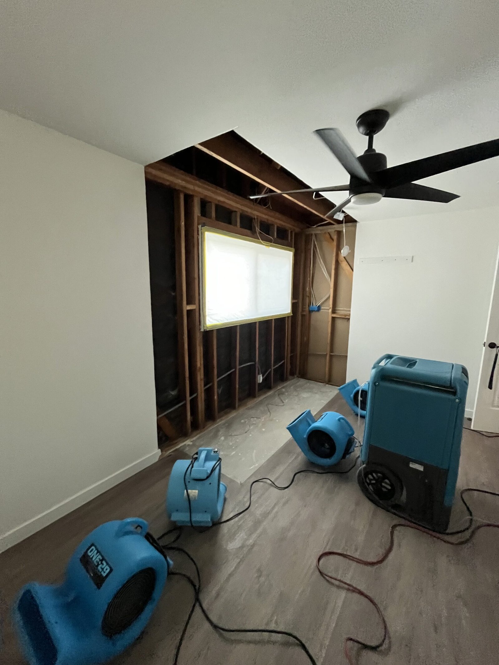 Structural Drying 101: What Every Homeowner Needs to Know