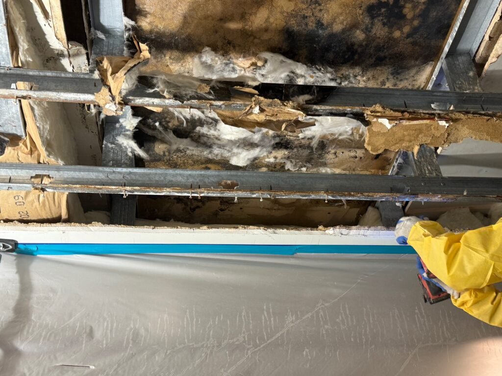 Mold Removal DIY: Safe and Effective Home Remedies