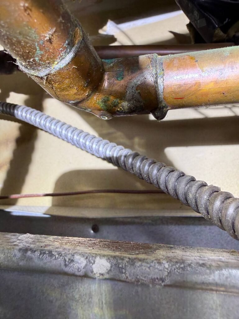 State Farm Mold, Fire, and Water Damage Coverage