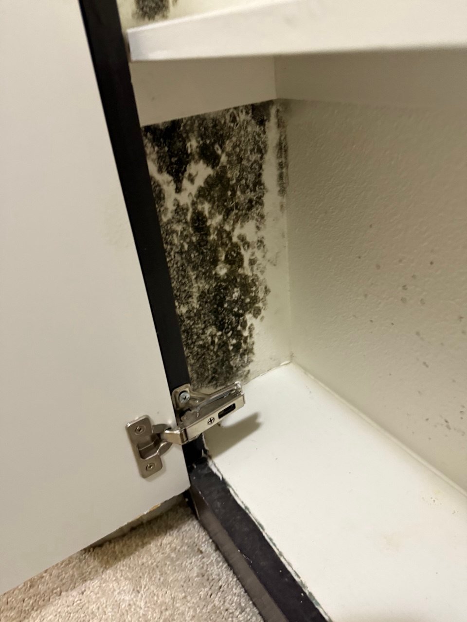 Palmdale Damage Restoration