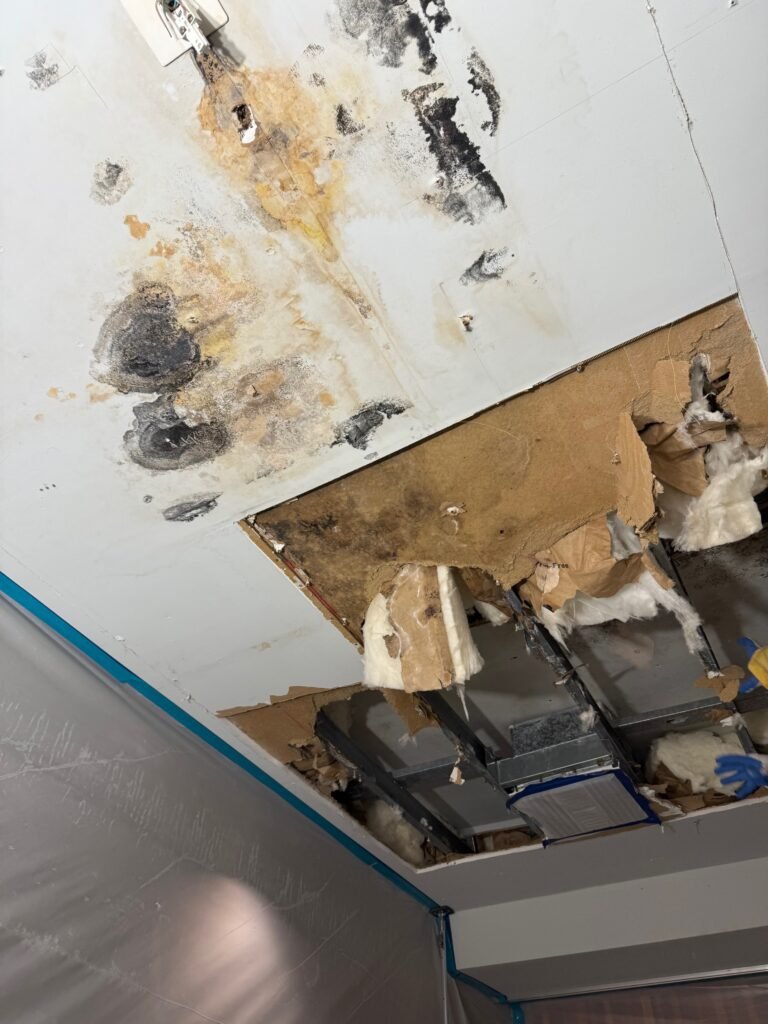 Lancaster Damage Restoration