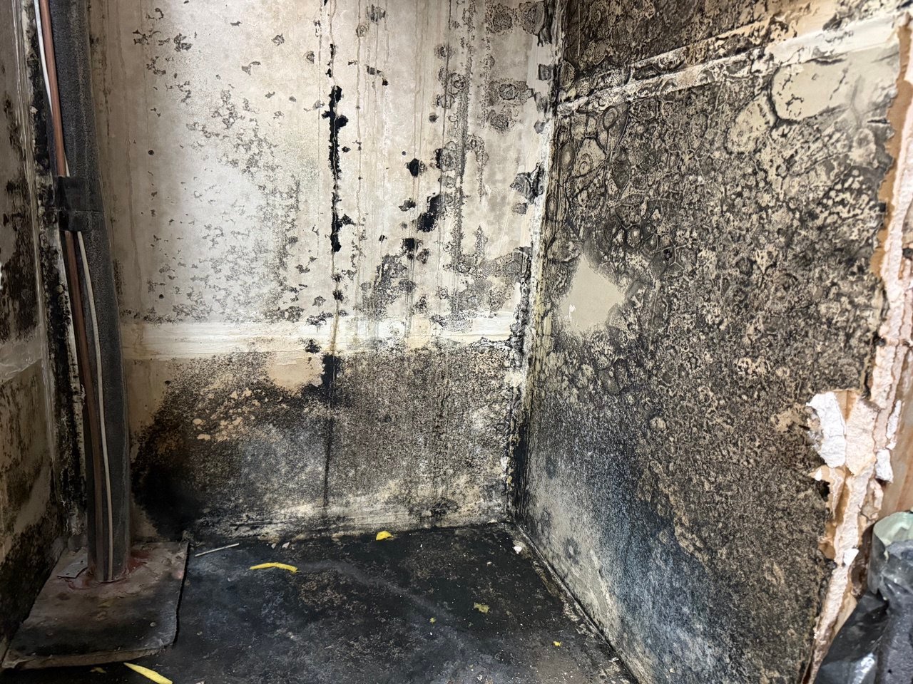 Farmers Insurance Mold, Fire, and Water Damage Coverage