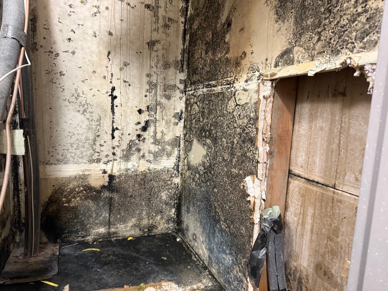 Safe, Certified Mold Remediation