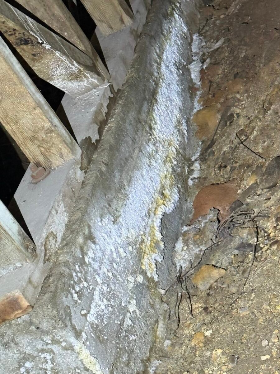 Mold in Crawl Space Removal in Los Angeles | Remediation Experts