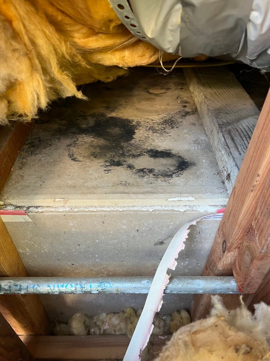 Mold in Crawl Space Removal in Los Angeles | Remediation Experts