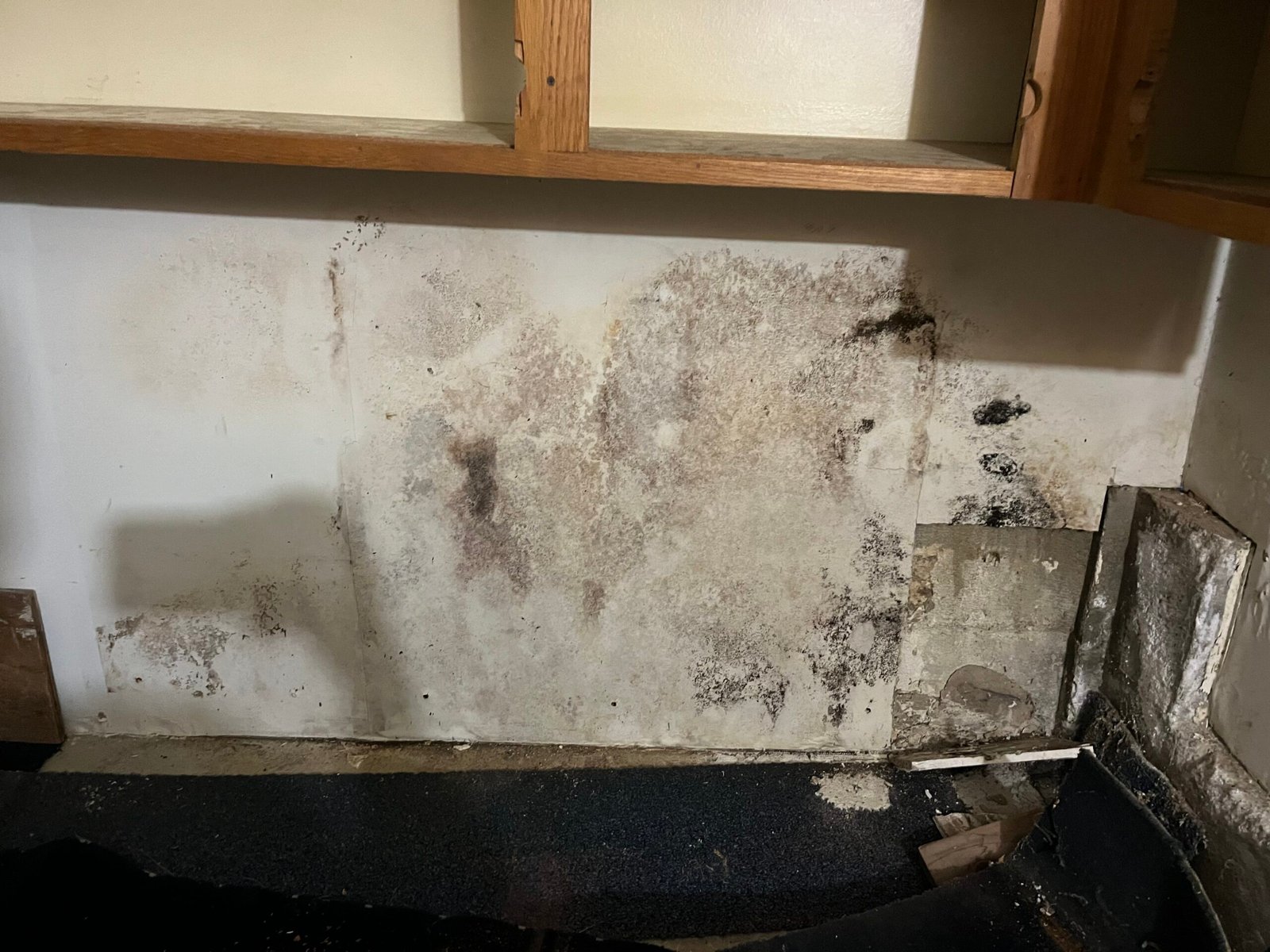 Odor Removal