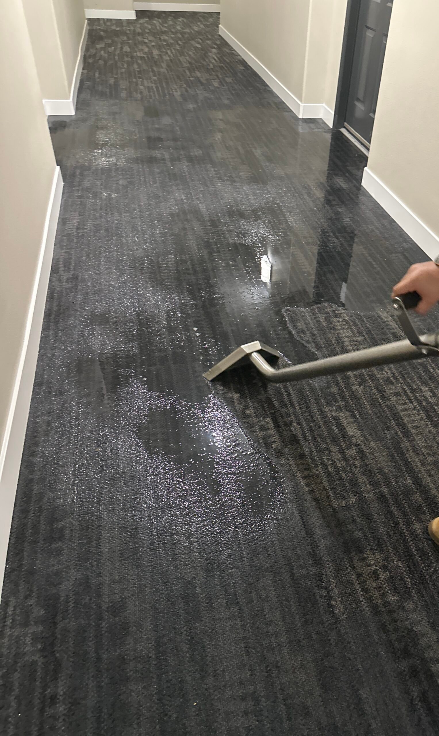 Emergency Water Damage Restoration Los Angeles | 24/7 Response