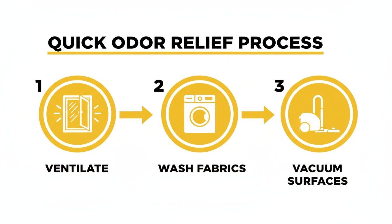 A step-by-step guide to quick odor relief, showing icons for ventilate, wash fabrics, and vacuum surfaces.