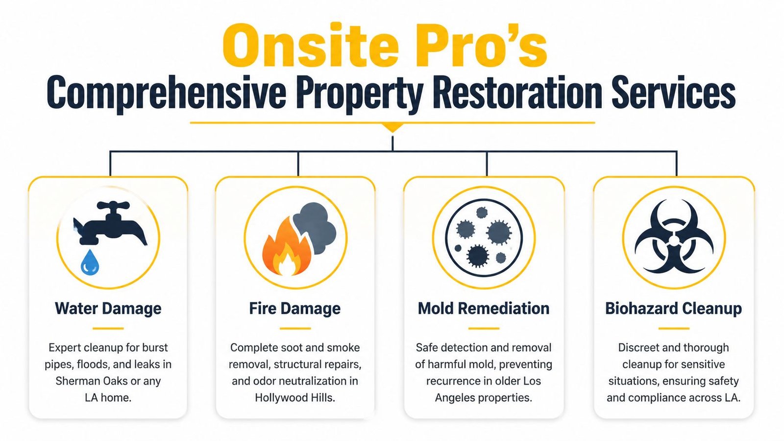 A service infographic showing Onsite Pro's water damage, fire damage, mold remediation, and biohazard cleanup restoration services.