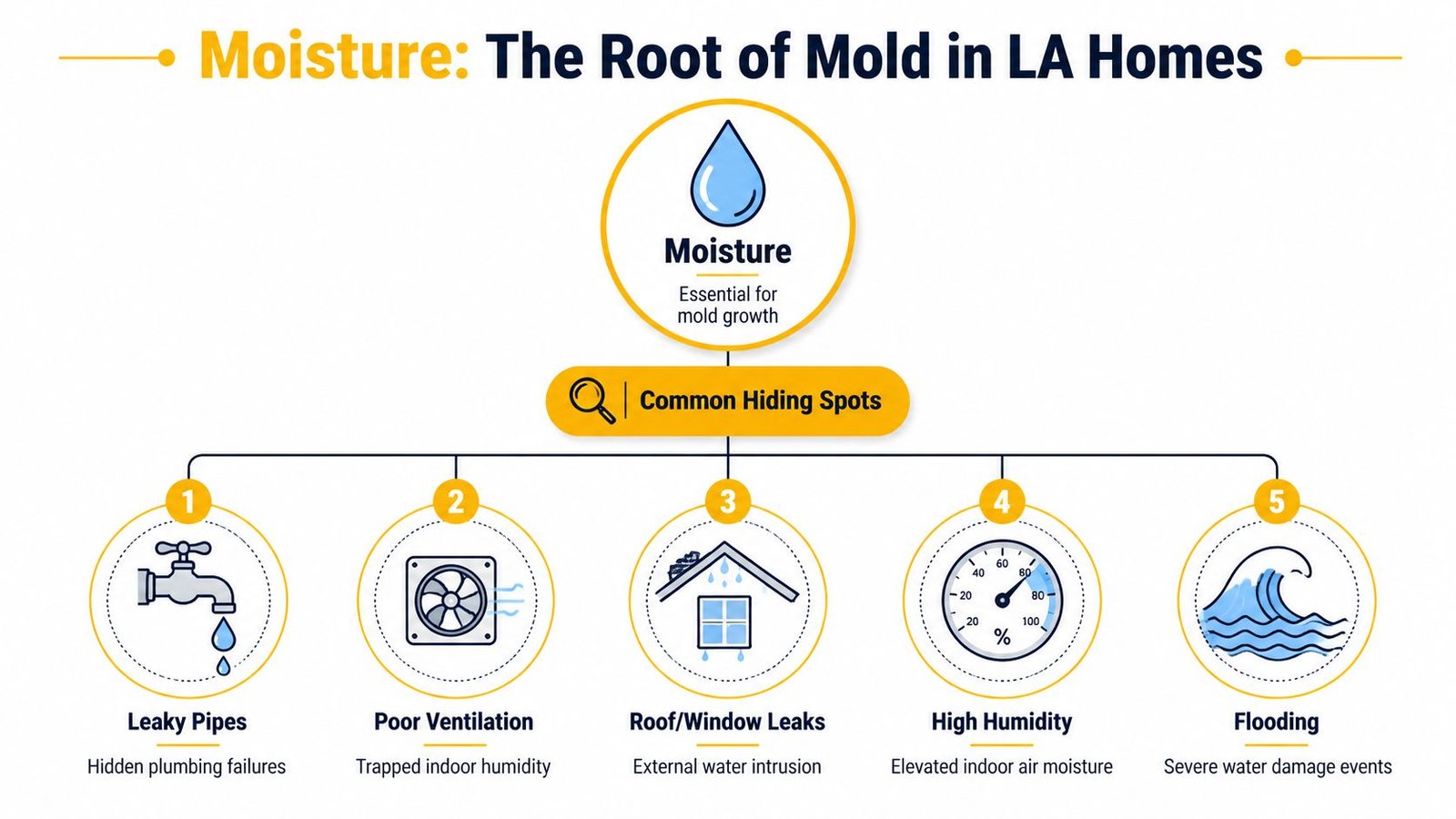 An infographic titled Moisture: The Root of Mold in LA Homes illustrating five common causes of mold.