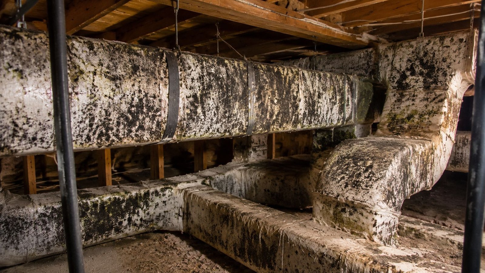A crawl space showing HVAC metal ductwork covered in extensive black mold and mildew growth.